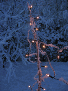 Snow Lights