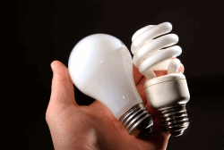 Energy Saver Light Bulb